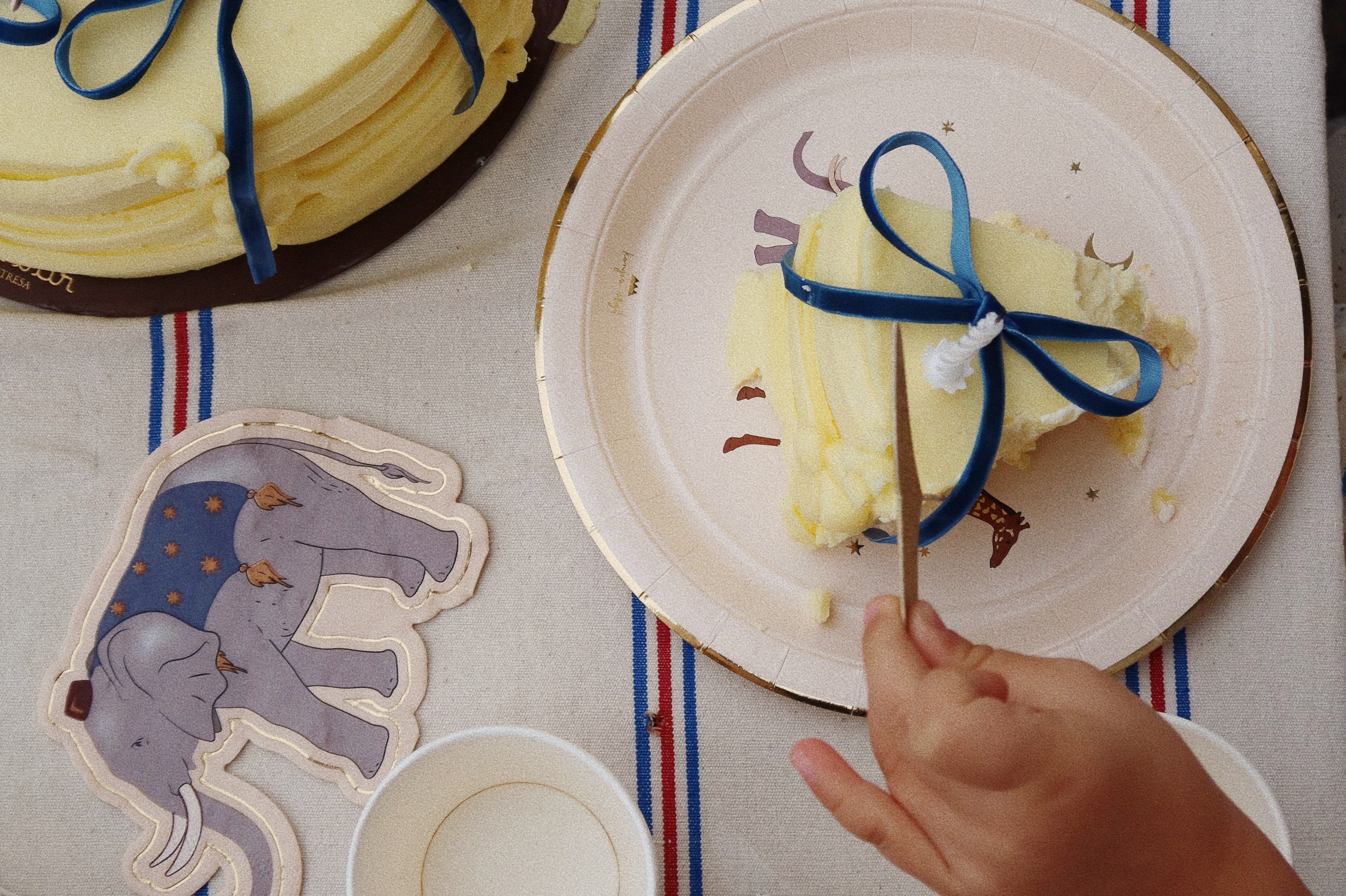 Konges Sløjd A/S BIRTHDAY safari