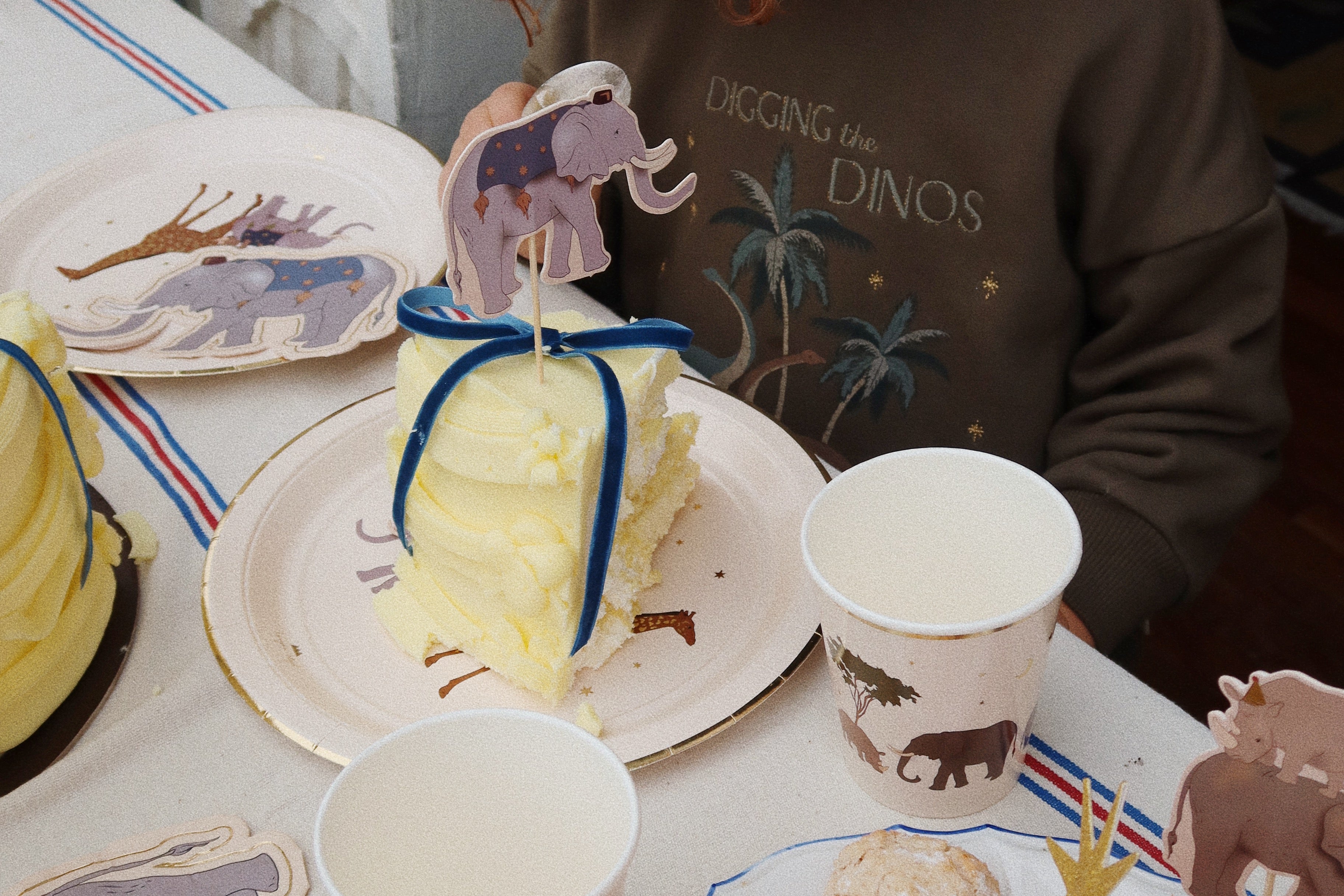 Konges Sløjd A/S BIRTHDAY safari