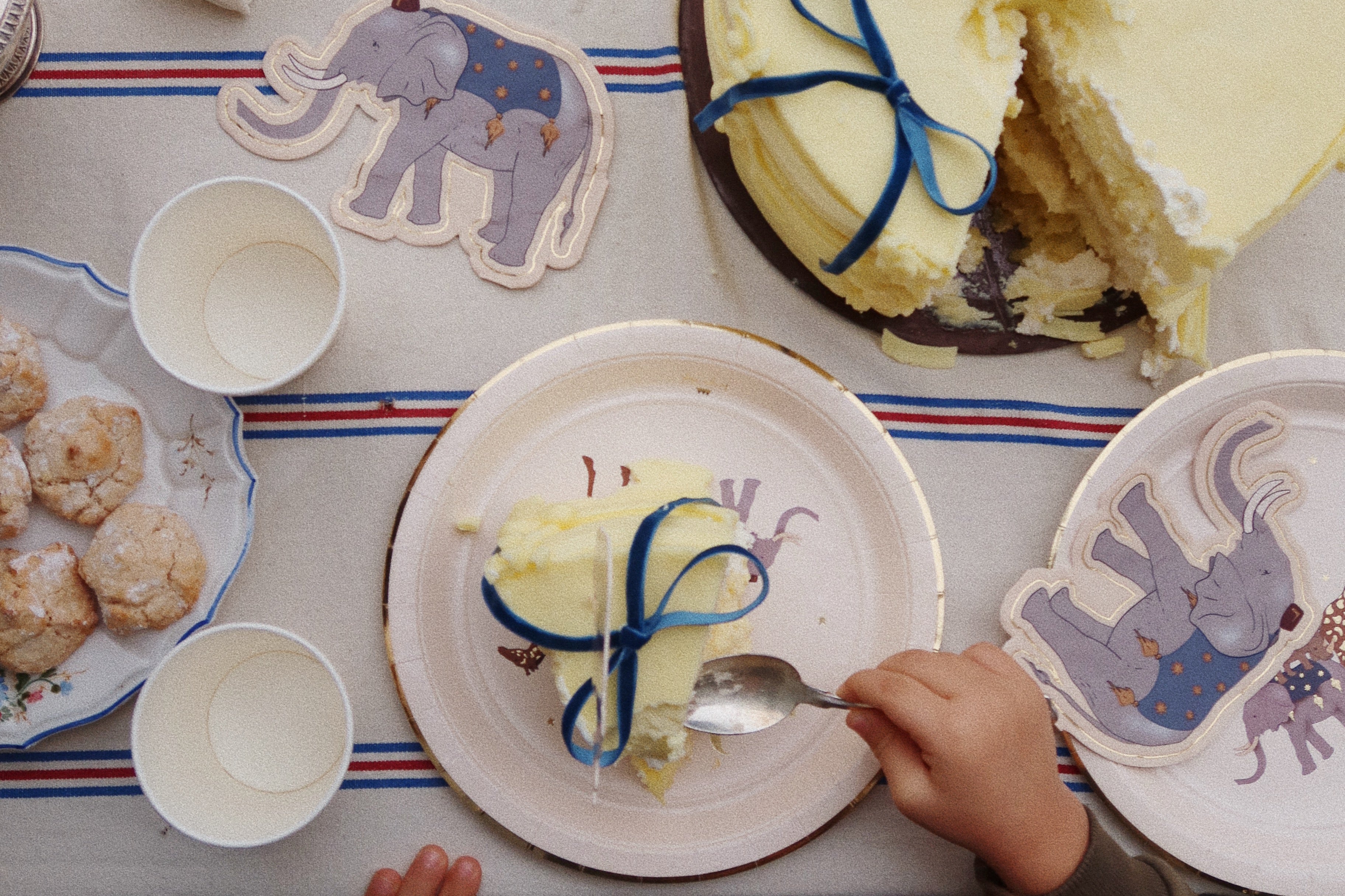 Konges Sløjd A/S BIRTHDAY safari