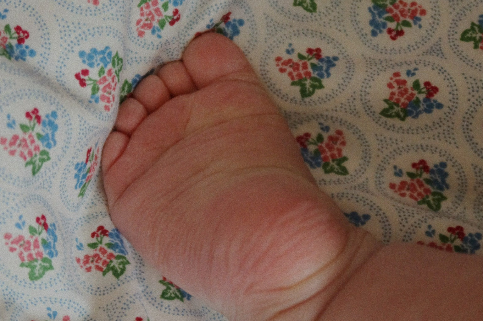 Konges Sløjd A/S ADULT BEDDING verona blues