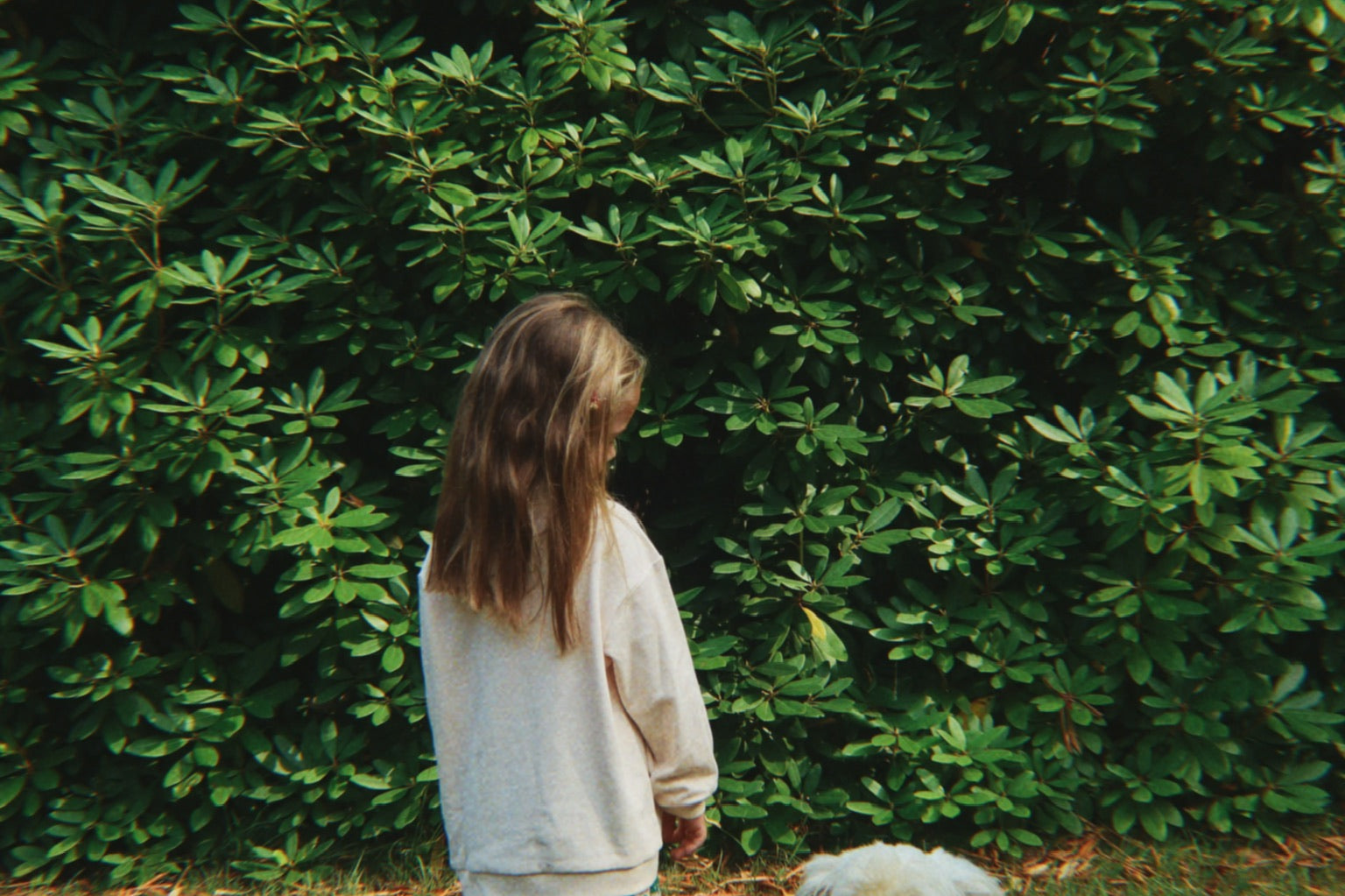 Konges Sløjd A/S WOVEN PANTS dot miao verde