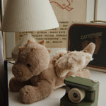 Konges Sløjd A/S ACTIVITY TOYS lemon