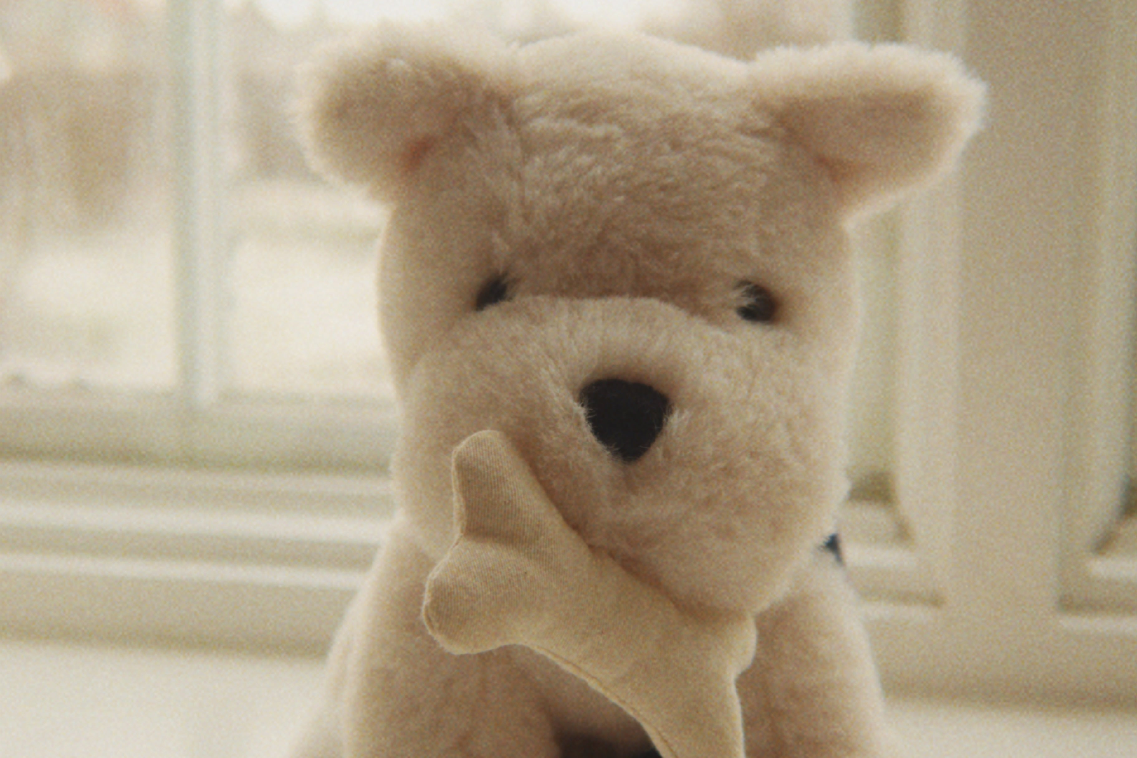 Konges Sløjd A/S TEDDY BEARS coeur coloré