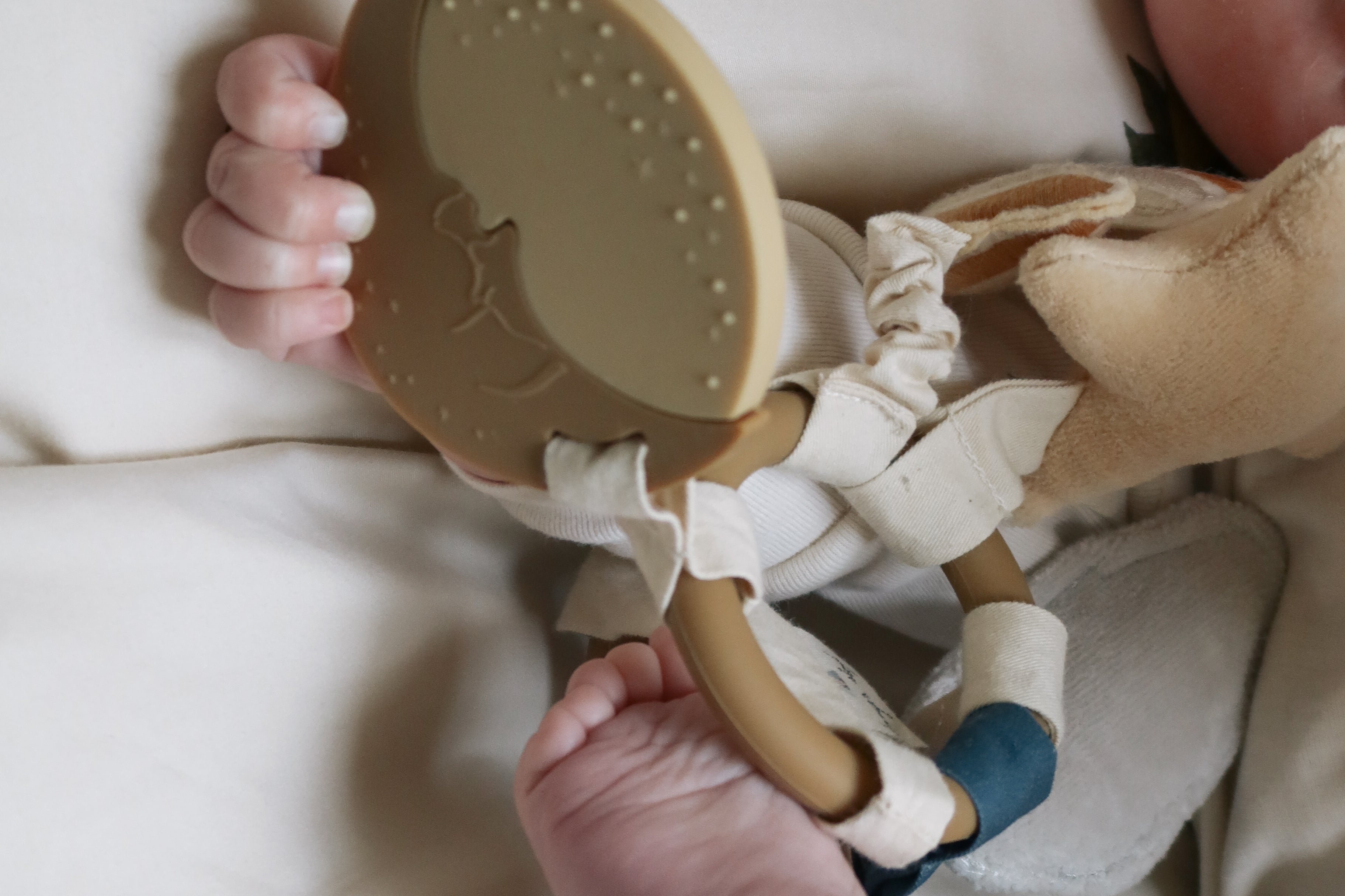 Konges Sløjd A/S ACTIVITY RINGS multi